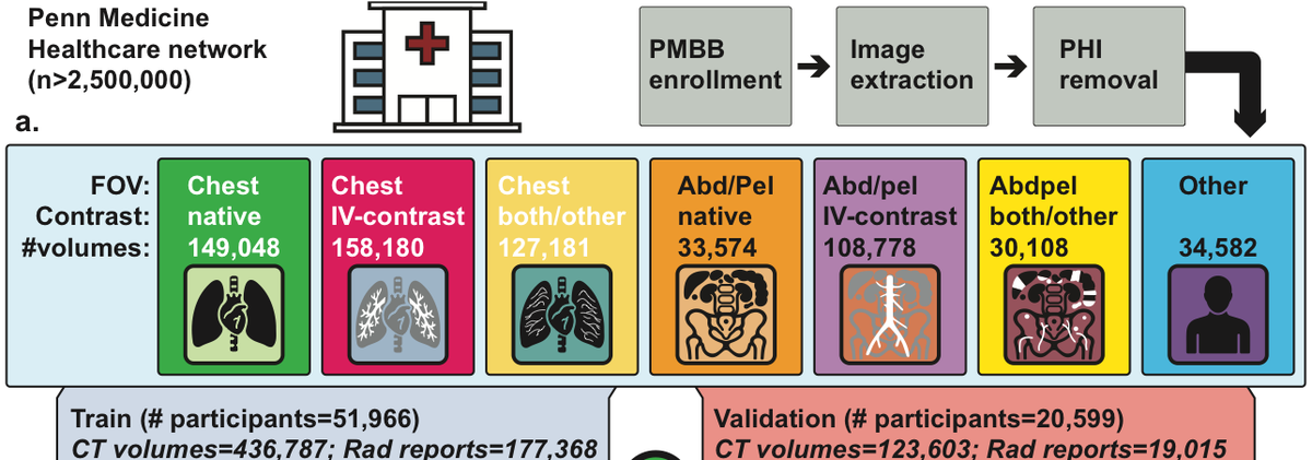 Study overview: Penn Medicine CT volumes by field of view and contrast, split into training and validation cohorts
